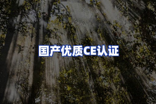 国产优质CE认证